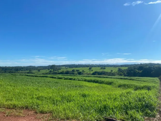 FAZENDA À VENDA  APARECIDA DO TABUADO/MS