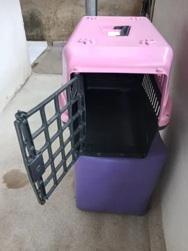 Transporte pet