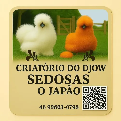 Lindos exemplares da raça 