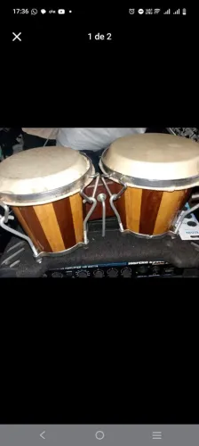 Bongo musical