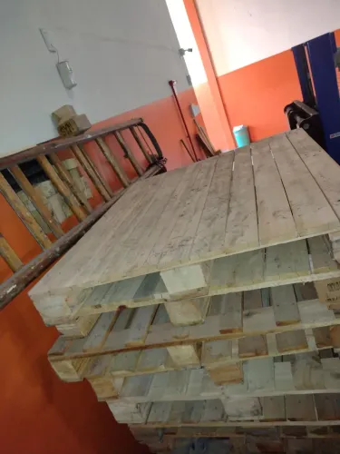 Pallet novos