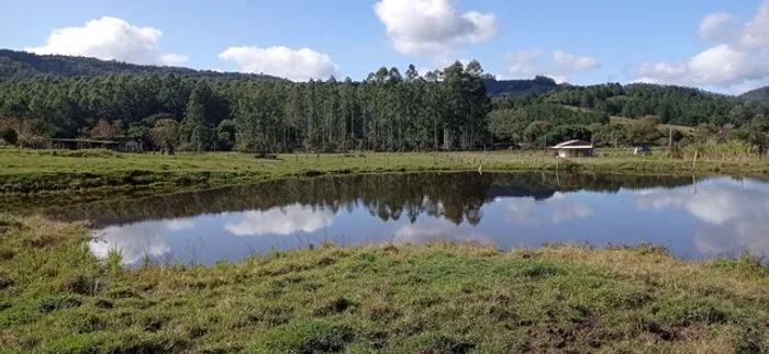Chácara 4,9 hectares em Rolante RS Parte plana com potreiro Açúde Vertente Mata nativa