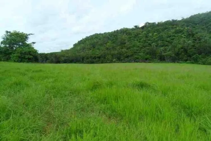 Chácara 20.000m² com córregos nos fundos Serra do Cipó(Temos varias opções).