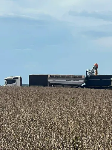 Fazenda 6.402 hect em nova motum MT. R$:150 milhões.