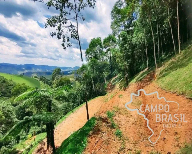 ÁREA RURAL 30.000M² EM MONTEIRO LOBATO!