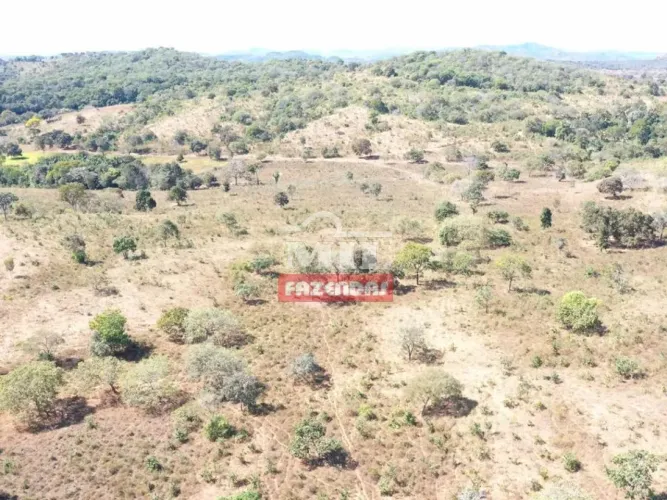 Fazenda 121 Alqueires (586 Hectares) Uruaçu - Go