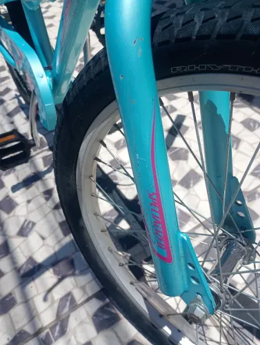Specialized hotrock aro 20
