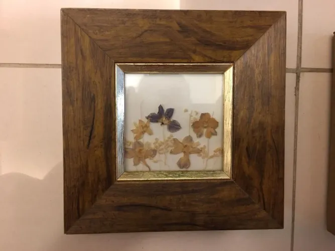 Quadro