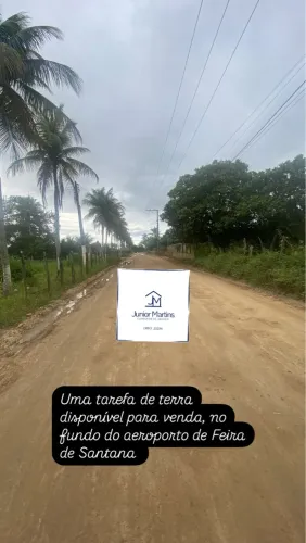 Localização privilegiada para venda uma tarefa ficar na área Rural Feira de Santana