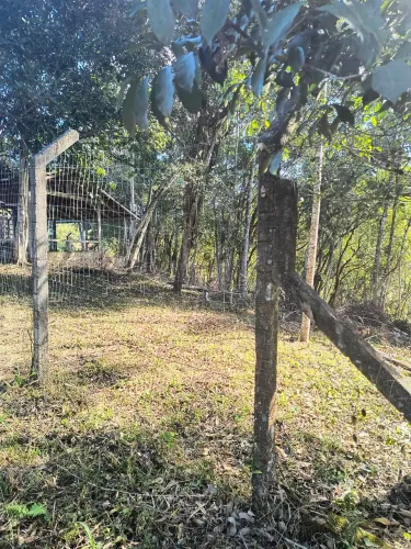 TERRENO À VENDA - MORRO DO GATO ?
