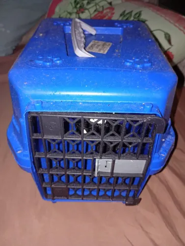 casinha para cachorro de 2 meses