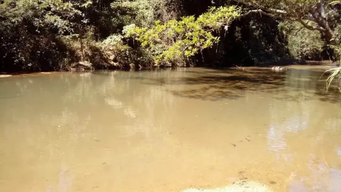 Fazenda a venda em Padre Bernado - Goiás!!!