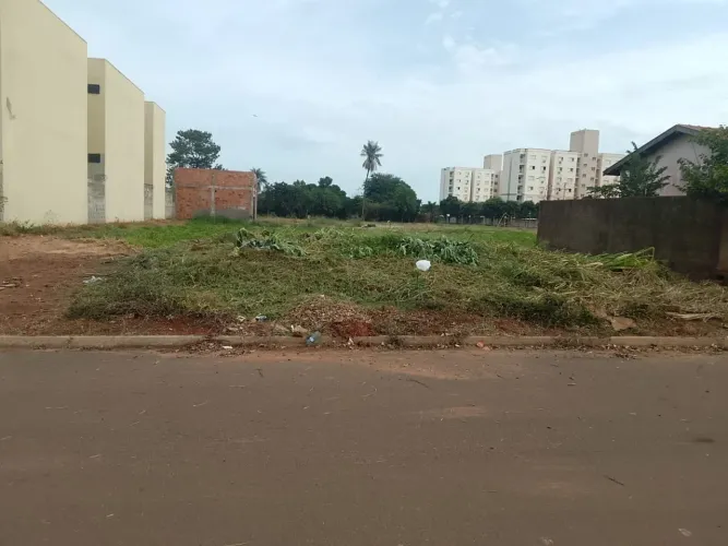 Terreno Excelente Localizacao Distrito Industrial Vila Alegre