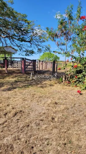 Fazenda 145 Alqueires | Estrutura Completa | Mata das Laranjeiras | Crixás