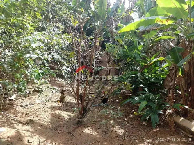 Lote em condomínio em Avenida Santo Amaro de Ipitanga - Vida Nova - Lauro de Freitas/BA