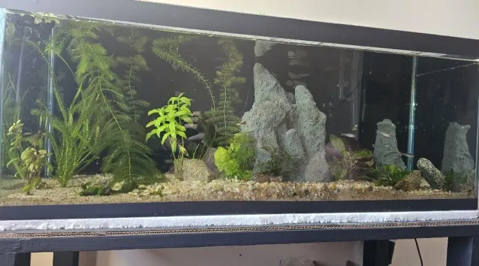 Vendo aquario completo 144L