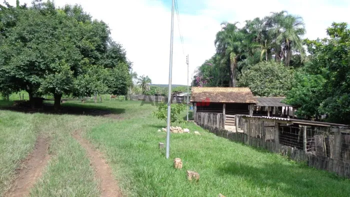 FAZENDA A VENDA À APENAS 18 km DE JANDÁIA