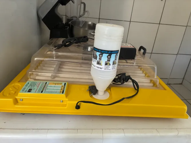 Chocadeira de ovos