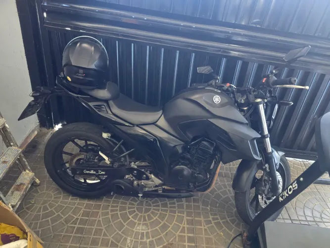 Fz 25 (fazer)