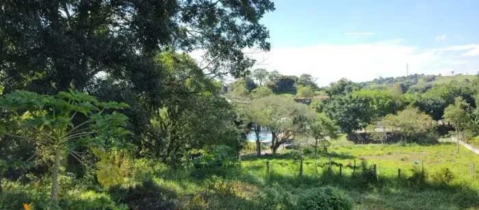 Excelente Área para Loteamento ou Construção de Apartamentos Zona Leste