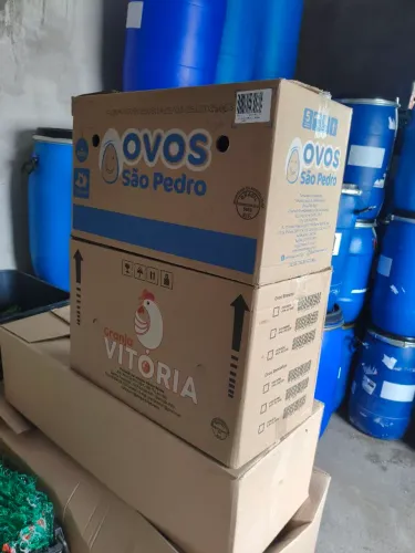 Caixas de papelão para mudança e organização..