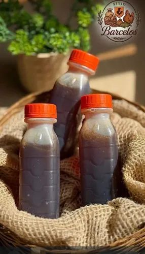 Mel 200 ml (florada de carne arábica de Alfredo chaves)