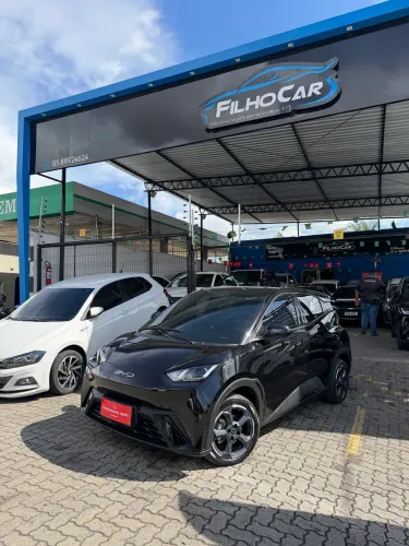 BYD Dolphin Mini (Elétrico) 2025