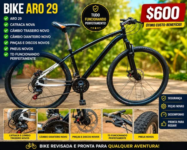 Aro 29