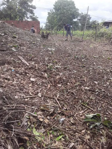 Venda