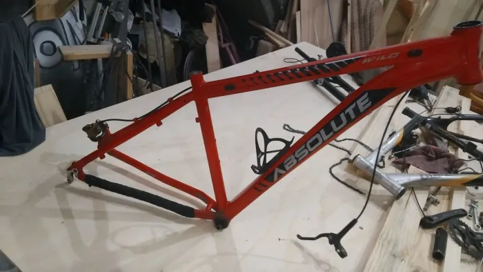 Quadro Absolute Wild tam 17