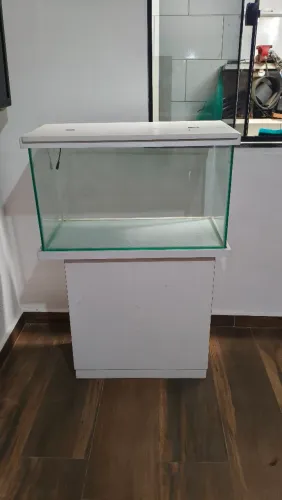 Aquário