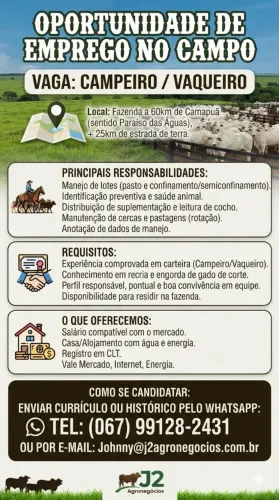Vaga para vaqueiro