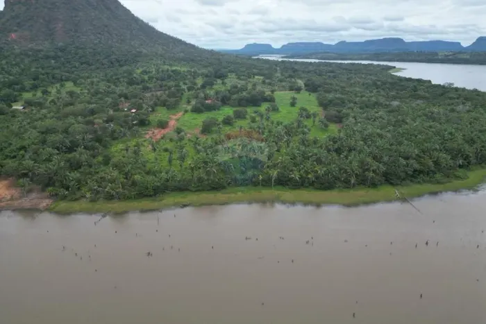 Fazenda à Venda | 27,53 ha | 200m de Frente para o Rio Tocantins | Babaçulândia -TO