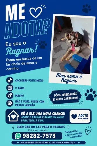 Doação 