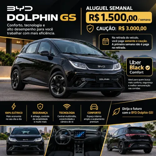 BYD Dolphin EV (Elétrico) 2024