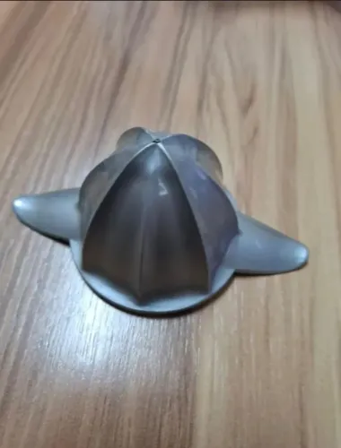 Cone- Castanha para espremedor Arno Pa30/Pa32