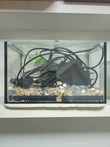 Aquário para peixe Beta de 6 litros 