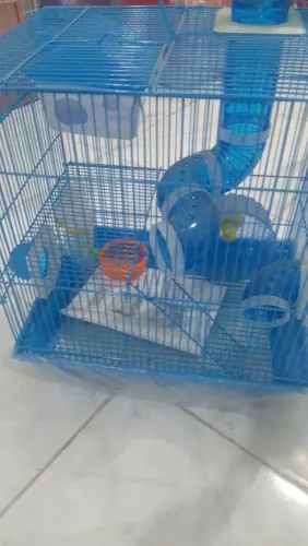 Gaiolas para hamsters 