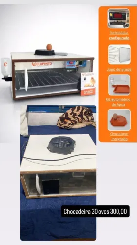 Chocadeira automática 30 ovos