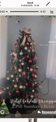 Árvore de Natal completa