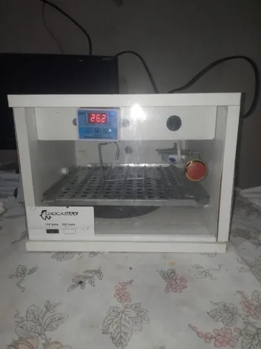 Chocadeira