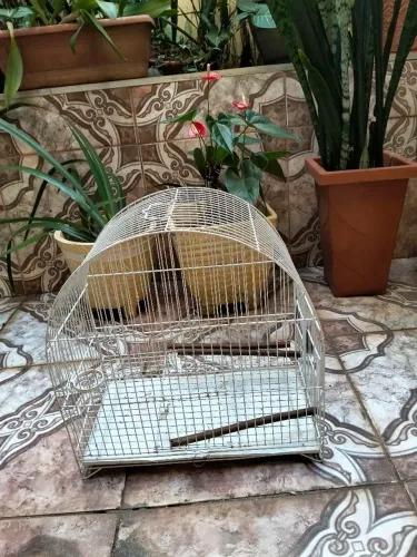 Gaiola para aves