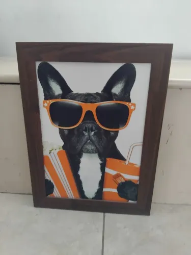 Quadro decorativo cachorro