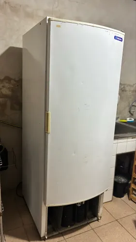 Freezer Vertical 539L
