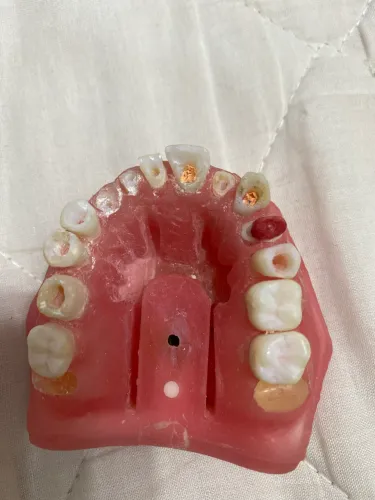 Manequim odontológico para endo