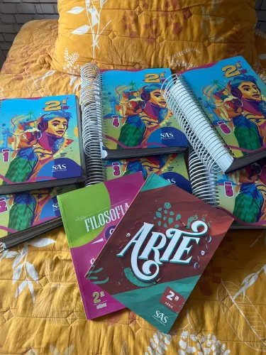 Material completo SAS 2º ano (livros 1 ao 6 + Artes + Sociologia) ? ótimo estado