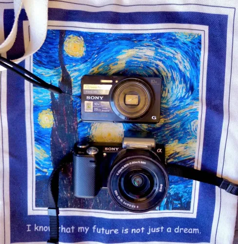 Sony Nex-5N