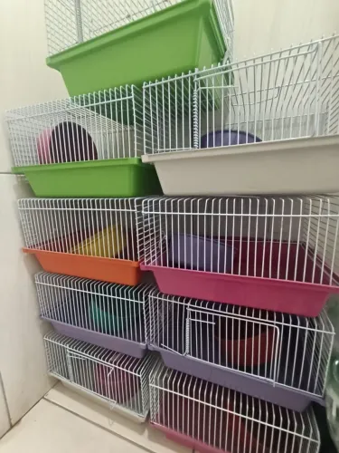 Gaiola hamster 