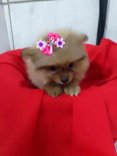 Que lindo presente para dia namorados ?