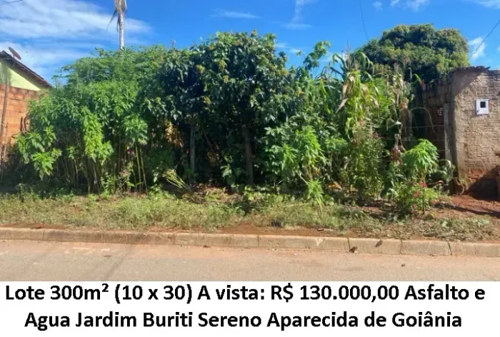 Leia a descrição: Lote 300m² (Asfalto, Agua) Jardim Buriti Sereno